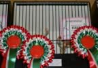 cncbs 2012 show (25) (Small).jpg (86kb)